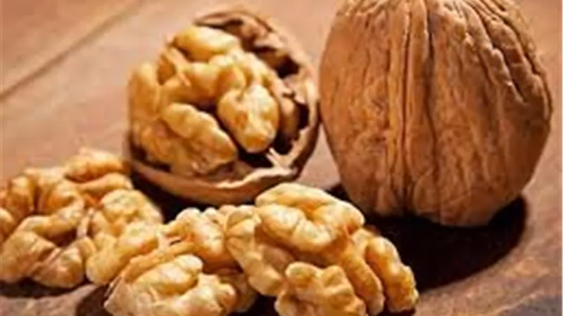 عين الجمل.. 6 فوائد تعزز صحتك الذهنية والجسدية|تفاصيل 