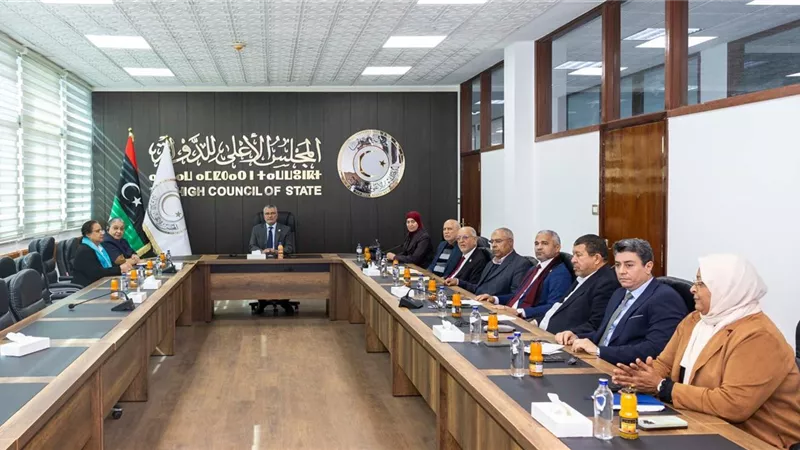 تكالة يبحث مع المبعوثة الأممية إجراء الانتخابات في ليبيا 