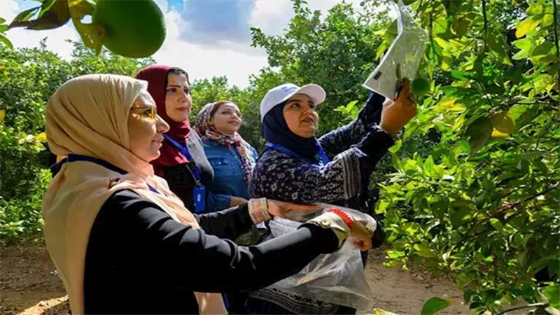 رئيس المركزية للحجر الزراعي يطلق حملة 