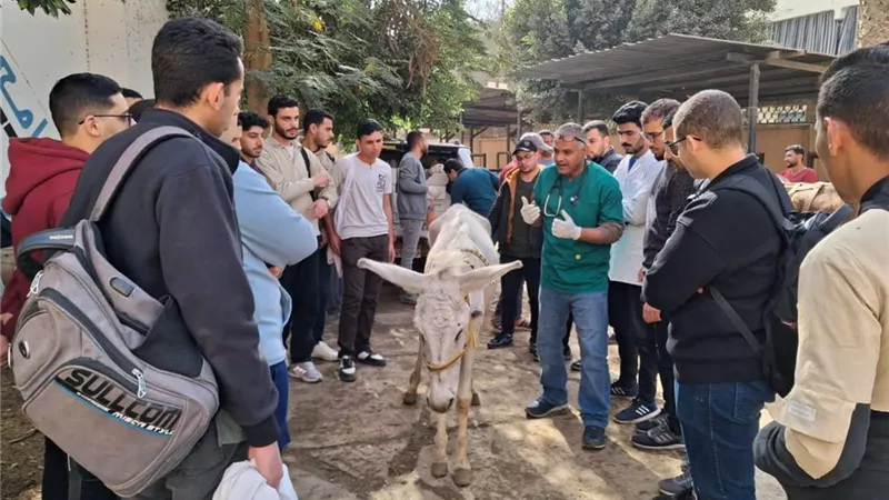 الطب البيطري بجامعة بنها تنظم قافلة بيطرية توعوية وتدريبية