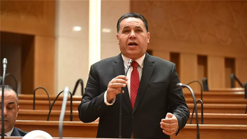 النائب عماد الغنيمي: الحكومة الجديدة مطالبة بالعمل بروح الفريق الواحد