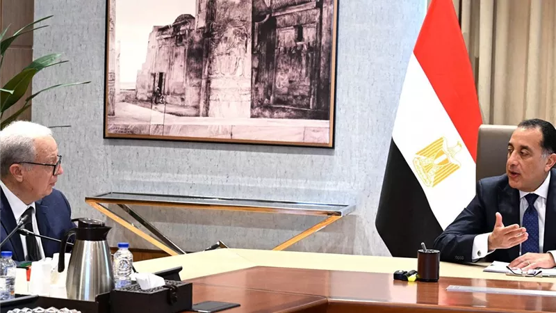 مدبولي: تنفيذ كل الإجراءات المطلوبة لهيكلة الشركات المملوكة للدولة