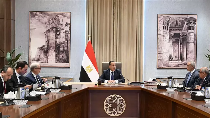  هل تنجح الحكومة في تحويل 146 شركة تابعة لقطاع الأعمال لكيانات رابحة|تقرير