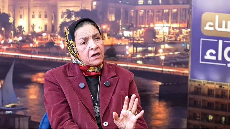 يمن الحماقي: شراكة القطاعين العام والخاص طوق النجاة لإحياء شركات الدولة