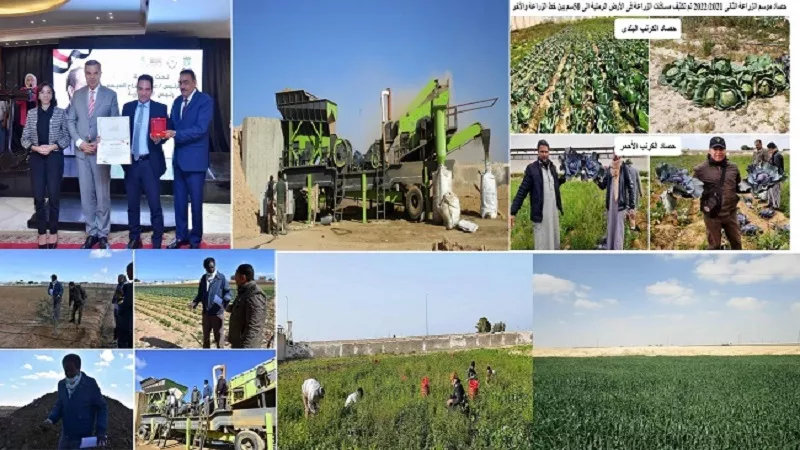 الأمن الغذائي.. البحث العلمي الزراعي واجهة مصر لاستصلاح الصحراء|فيديو