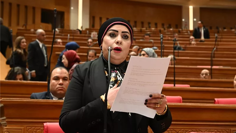 مشروع قانون أمام البرلمان لتنظيم التطبيب عن بُعد|تفاصيل 