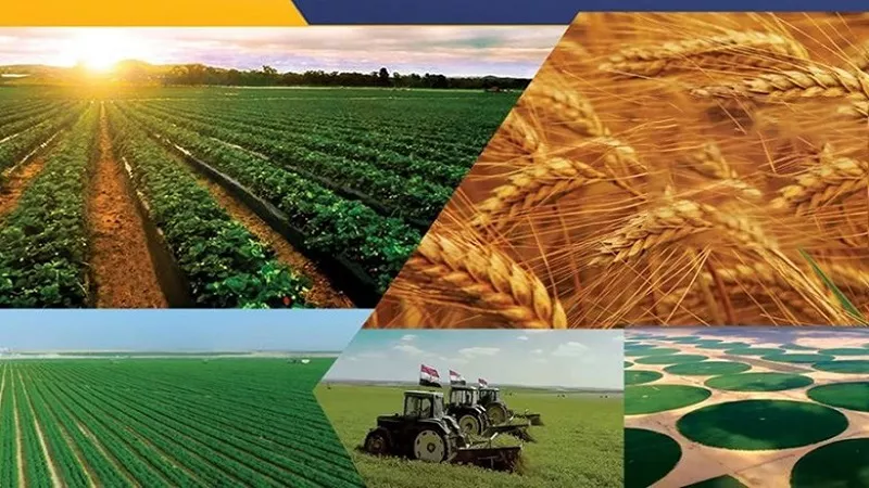 لتحسين معيشة المواطن.. خطة الحكومة لمواجهة تحديات الأمن الغذائي|فيديو