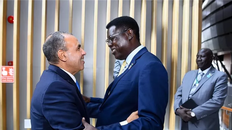 وزير الخارجية يلتقي نظيره الجنوب سوداني على هامش مجلس السلم والأمن