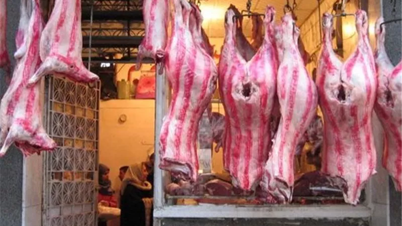 خضر: تطبيق الكود العالمي للمجازر يضمن جودة اللحوم ويعزز القدرة التنافسية