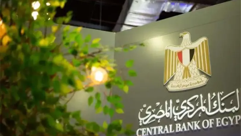 البنك المركزي: 87% من خفض الفائدة انتقل مباشرة للقطاع المصرفي