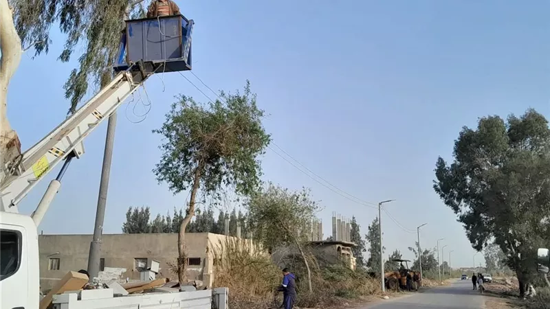 استمرار رفع كفاءة الإنارة في بيلا.. صيانة شاملة للأعمدة والكشافات