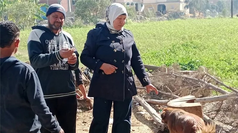  تحصين 14 كلبا ضالا ضد السعار في دسوق اليوم