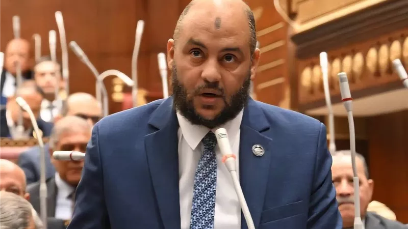تحرك برلماني لتغليظ عقوبات الجرائم الإلكترونية
