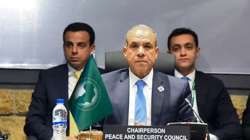 برئاسة مصر.. مجلس السلم والأمن يصدر بيانين دعما للصومال والسودان