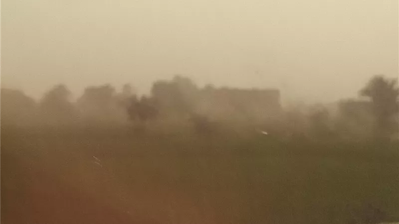 عاصفة ترابية تضرب الفيوم وتربك الشوارع مع تغير مفاجئ في حالة الطقس