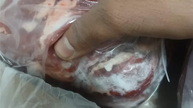 ضبط 426 كيلو لحوم فاسدة في سيارة بالأقصر قبل وصولها للأسواق