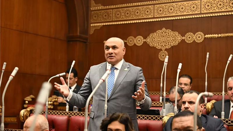 عضو بـ«الشيوخ»: المجالس المحلية أحد أعمدة الإصلاح الإداري والتنمية الشاملة