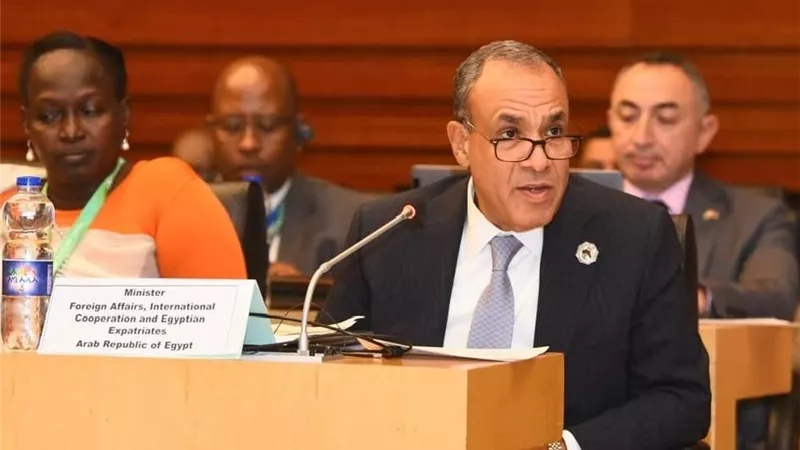 وزير الخارجية يجدد التزام مصر بدعم استرداد التراث الإفريقي 