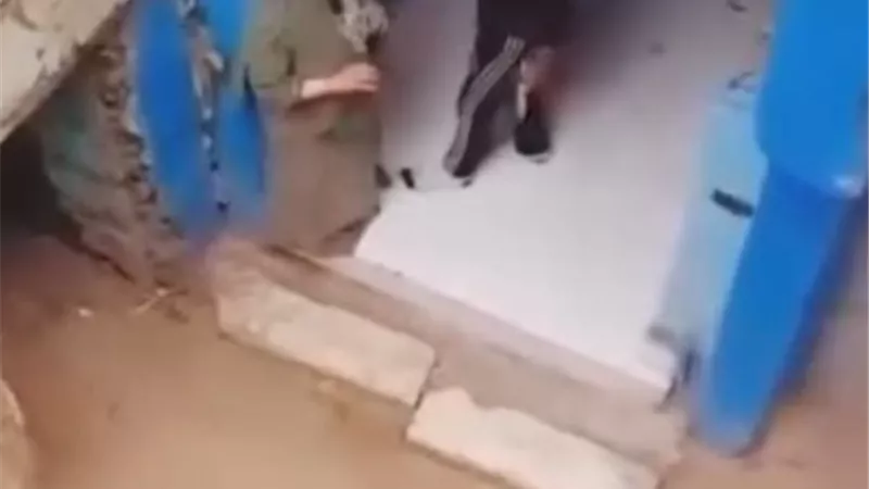 مش هاين عليها.. إخلاء سبيل شاب اعتدى على والدته بالسلاح الأبيض