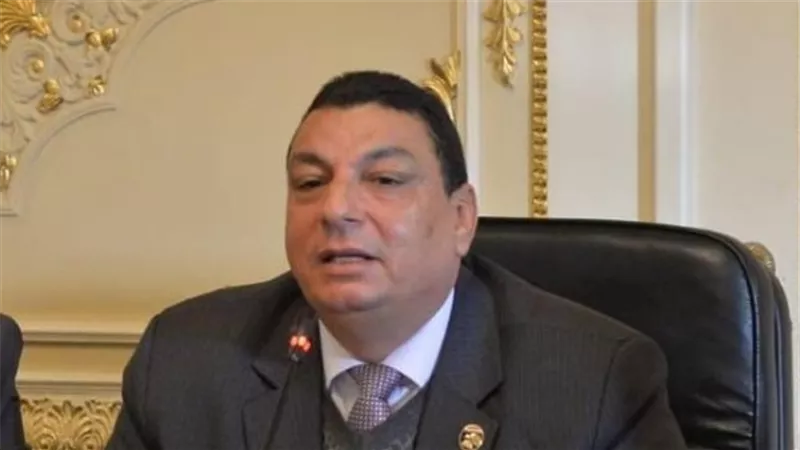 النائب سامي نصر الله يكشف عن أهداف التوجيه باستكمال «انتخابات المحليات» 