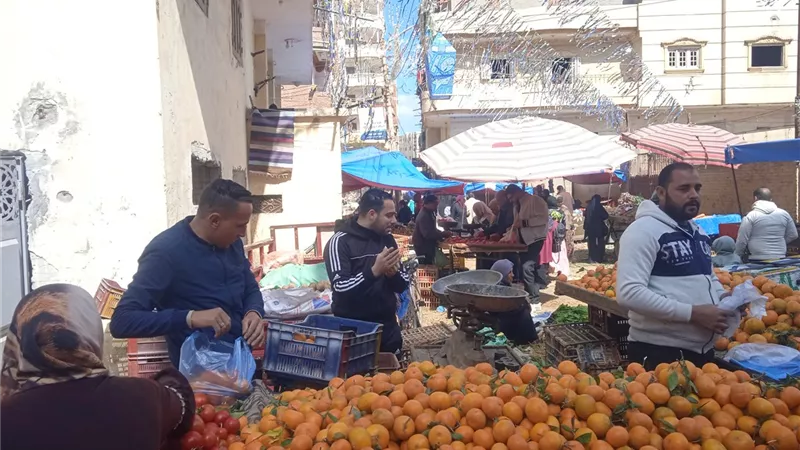 أسعار الخضروات والفاكهة اليوم السبت في كفر الشيخ 