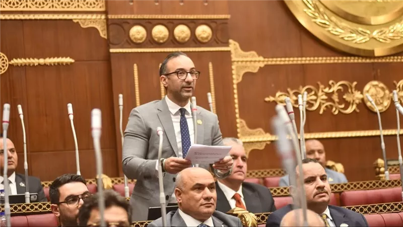إسكان الشيوخ تناقش آليات تعزيز تصدير العقار وجذب الاستثمارات الأجنبية غدا