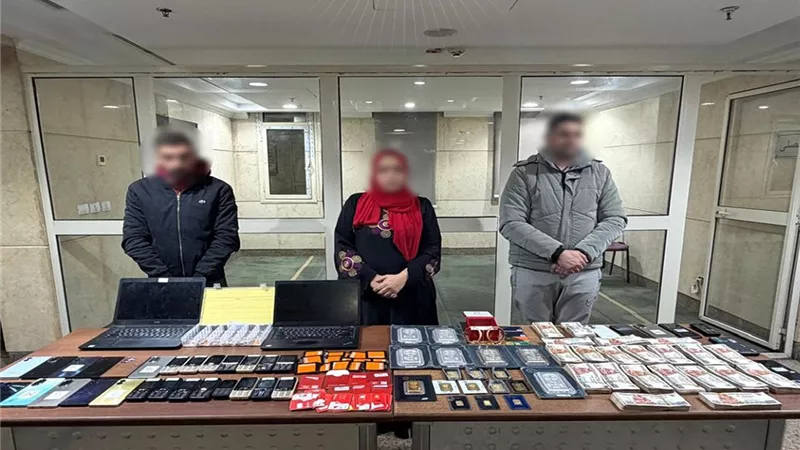 سقوط عصابة دولية اخترقت هواتف مواطنين وسرقت أموالهم عبر «إنستاباي»