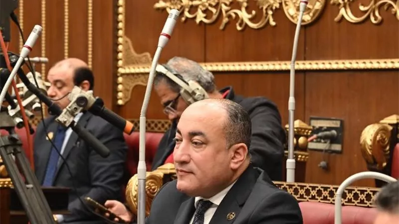 عمرو رشاد: طائرة «A350-900» نقلة نوعية تعزز تنافسية الناقل الوطني عالميا