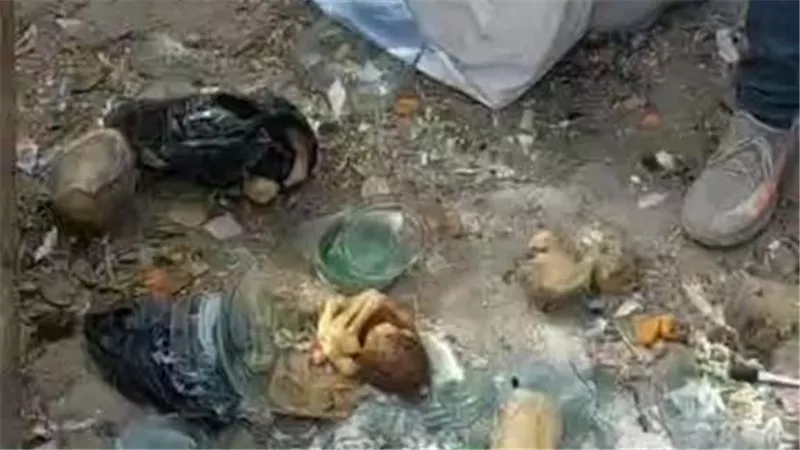بينهم عامل نظافة.. تفاصيل ضبط المتهمين في واقعة العثور على 9 أجنة 