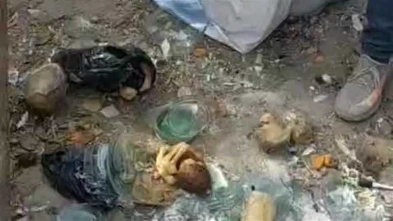 سر «العيادة القديمة».. الداخلية تفك شفرة العثور على أجنة بشرية بالمنيا