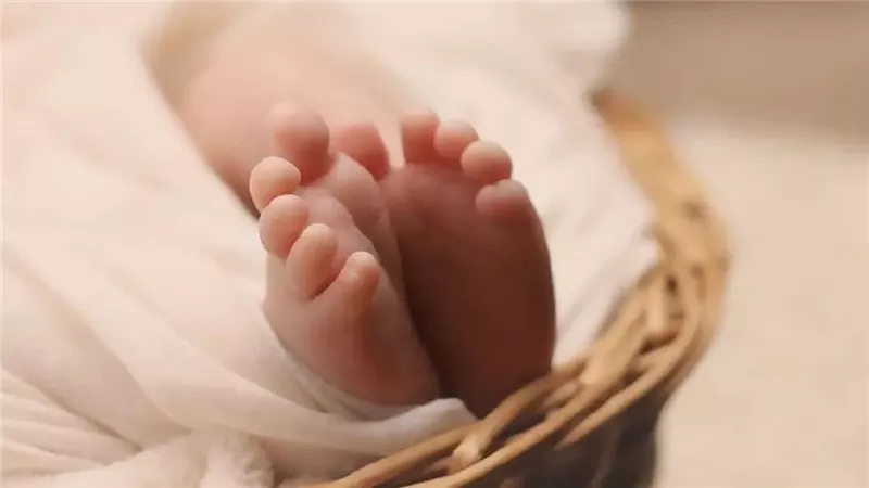مأساة في درنة الليبية.. الكلاب تلتهم رضيعا حديث الولادة أمام أعين والدته