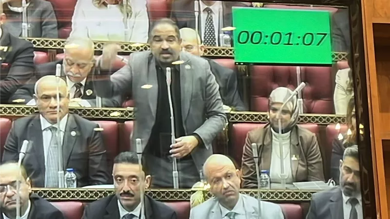 ارتباك.. نائب يخلط بين الأسماء ورئيس الشيوخ يتدخل: «مين هاني فوزي»