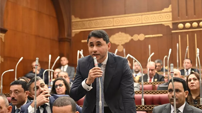برلماني: قرارات فبراير خطوة استراتيجية لتوسيع مظلة الحماية الاجتماعية