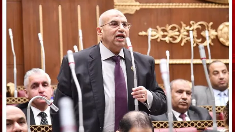 أشرف عبد الغني يطالب بإعفاء المستشفيات غير الهادفة للربح من الضرائب  