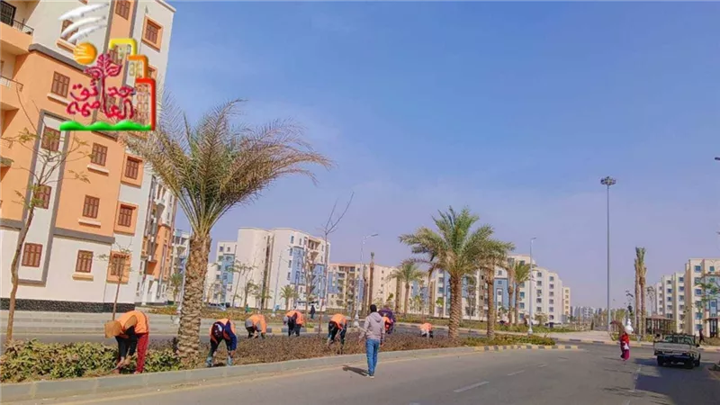 مزاد بـ حدائق العاصمة يحصد 51.5 مليون جنيه من بيع محلات وصيدلية