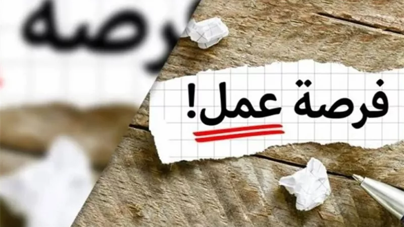وزارة العمل تعلن عن 400 فرصة عمل بشركة «ليوني مصر» بمدينة بدر ومدينة نصر