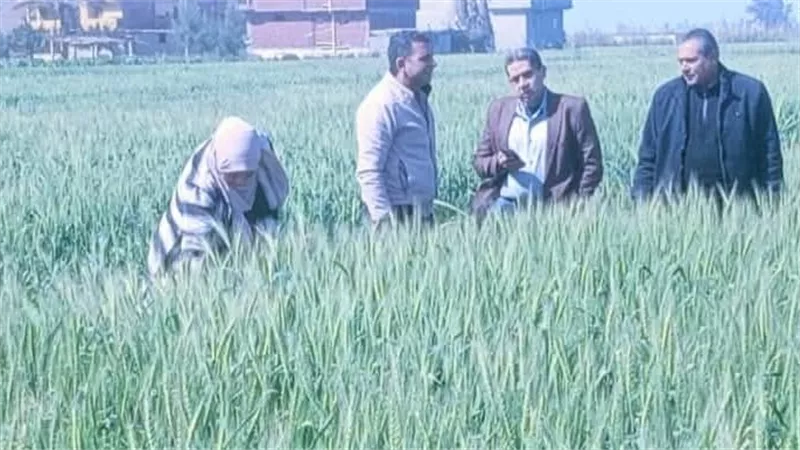 وكيل وزارة الزراعة: استمرار تقديم الدعم الفني والتوصيات الإرشادية 