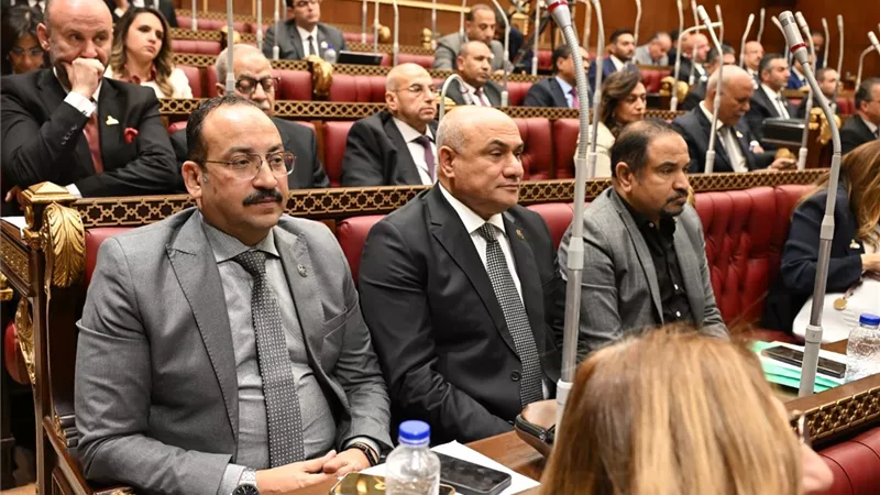 عضو بالشيوخ: تعزيز العلاج على نفقة الدولة وحماية المواطنين ماليًا 