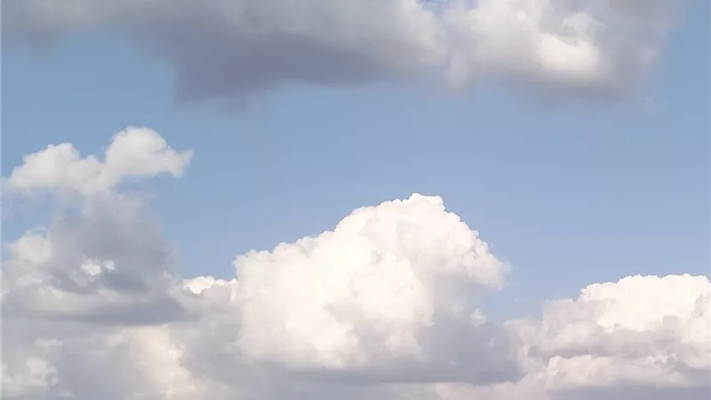 برودة ليلية وأجواء مستقرة نسبيا نهارا بمحافظة الغربية اليوم