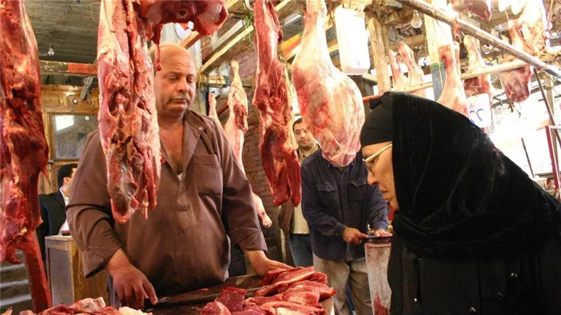 قبل رمضان بساعات.. موجة صعود تضرب أسعار الكندوز والبتلو والضاني اليوم
