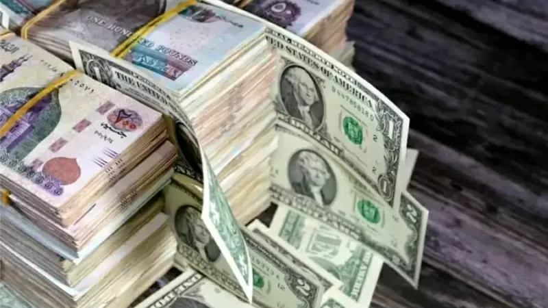 ضبط تجار نقد أجنبي بحوزتهم 8 مليون جنيه قبل ترويجها في السوق السوداء