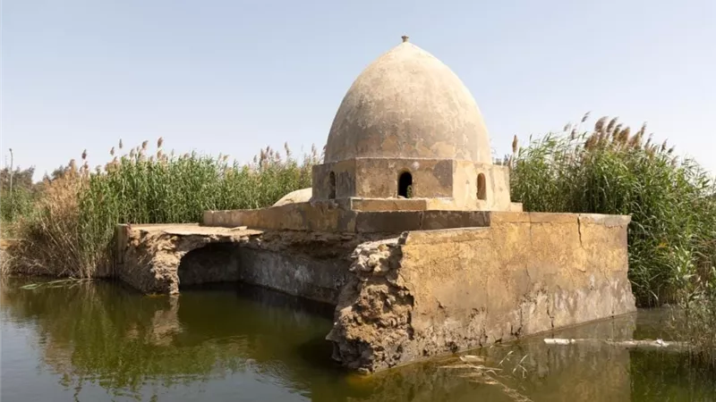 ابن طباطبا يهزم والي الكوفة.. وضريحه باقٍ في مصر حتى اليوم