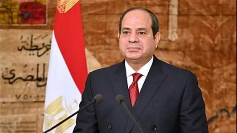 محمد عز الدين: مصر من أكبر الدول تنفيذا لبرامج الحماية الاجتماعية|فيديو