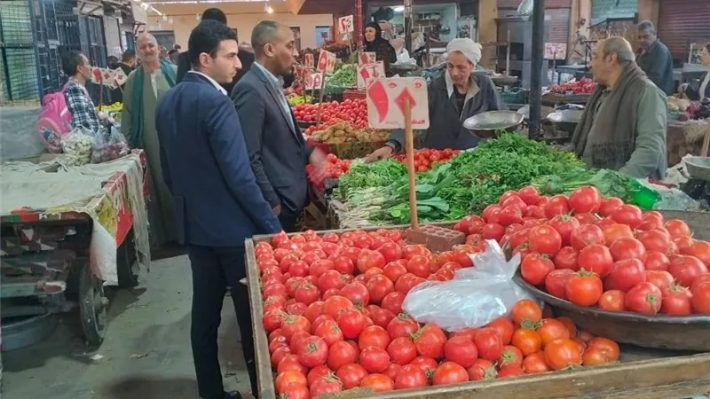 حماية المستهلك يشن حملات ميدانية بالقاهرة والجيزة لمراقبة الأسعار والأسواق