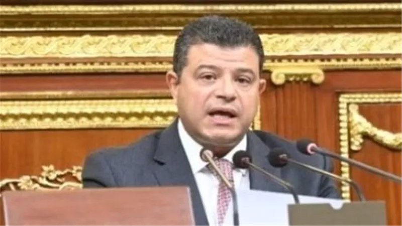 محمد سليمان: تعديل قانون سجل المستوردين إصلاحي وحيوي لمعالجة المشكلات