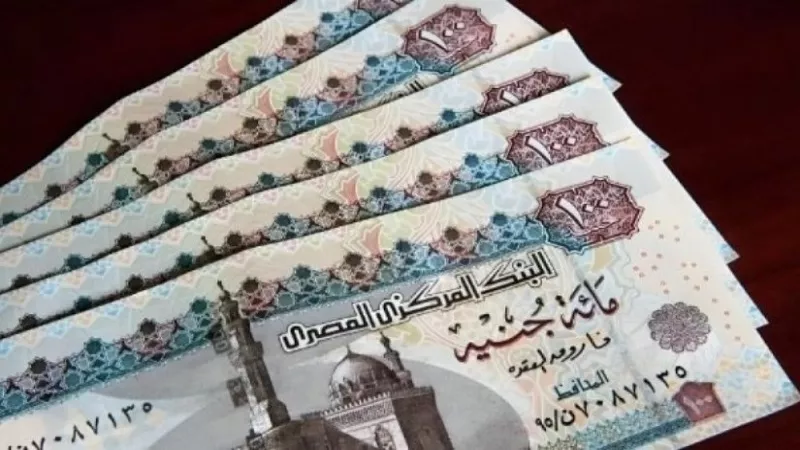 أستاذ اقتصاد: الحزمة الاجتماعية الجديدة تكشف تجهود السيطرة على التضخم