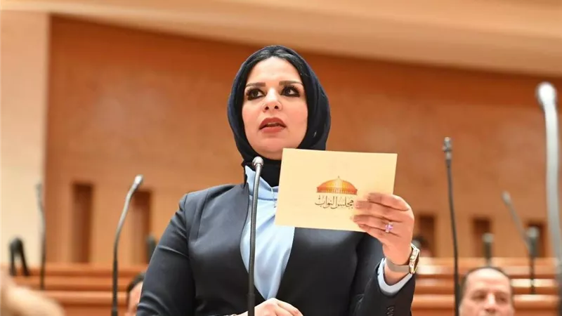 النائبة مروة حلاوة تطالب بتطبيق نظام الشرائح التأمينية بسجلات المستوردين 
