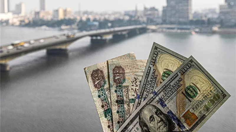 46374 ألف شركة جديدة في 2025.. المصريون يسيطرون على 78% من رؤوس الأموال
