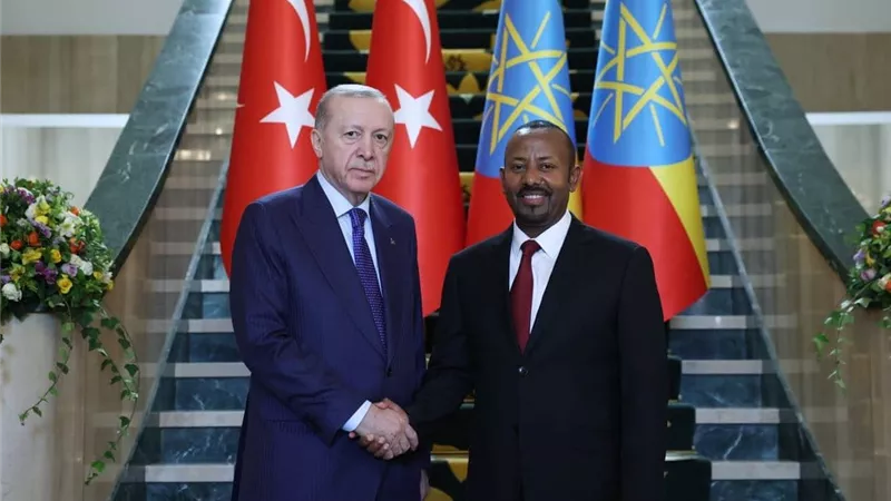 استضافة وزيارة.. أردوغان يتغلغل في إفريقيا ويوسع نفوذ تركيا