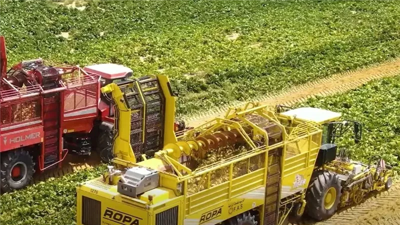 مثلث التنمية الزراعية.. الإرشاد جسر ذهبي بين البحوث والمزارع المصري